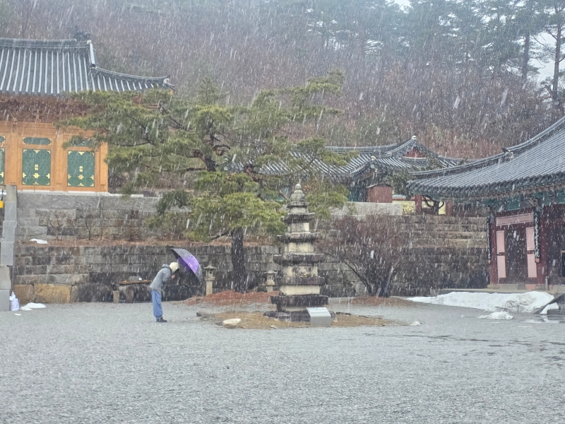 KakaoTalk_20260317_100038047_06.jpg 이미지