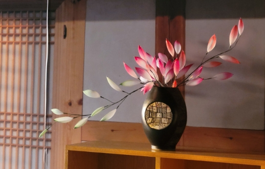 오후선.jpg 이미지