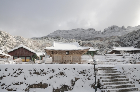 미황사 겨울풍경_0.jpg 이미지