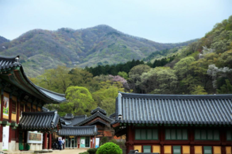 송광사순천.png 이미지