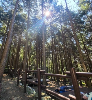 무제_0.jpg 이미지